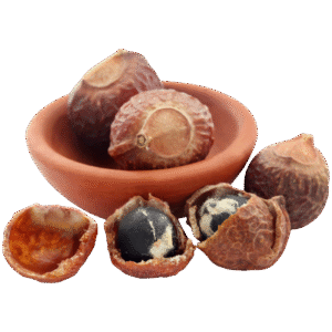 Reetha (Soapnut) Natural Hair Cleanser & Skin Care Fruit
